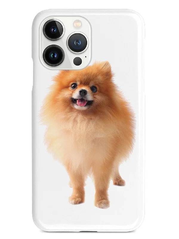 Long-haired Pomeranian Case